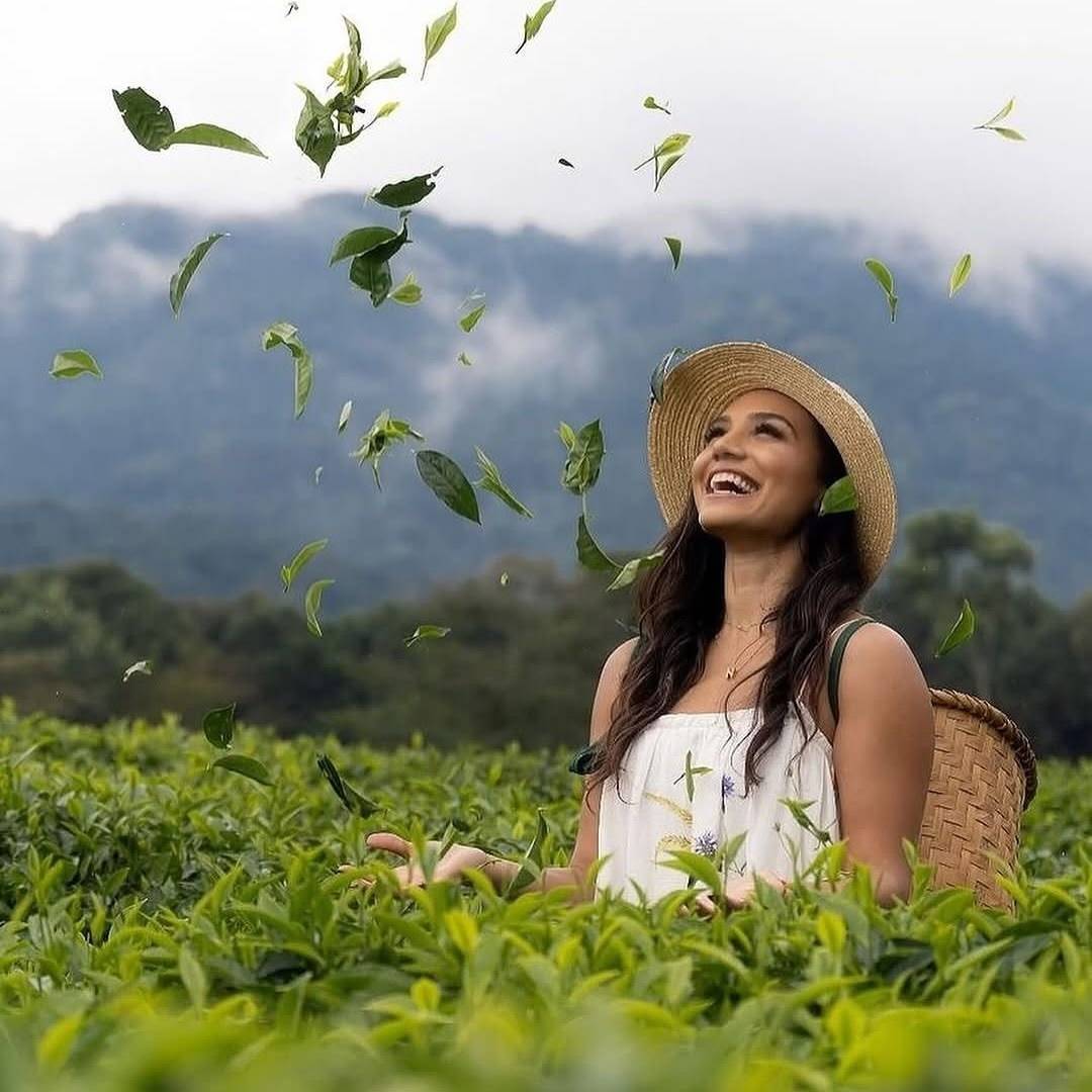 Traveller enjoying tea leaves in a Wayanad plantation